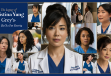 christina yang grey's